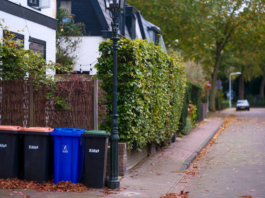 A black wheeled rubbish bin made of durable plastic stands on a grassy area outdoors, filled with garden waste including dried grass, leafy branches, and plant trimmings. The lid is partially open, revealing the organic debris inside. Surrounding the bin are green plants and bushes, with a yellow-flowered shrub visible in the background. The scene is illuminated by natural daylight, highlighting the texture of the garden waste and the bin's smooth surface. This setup suggests an informal garden clearance, typical of on-site waste management or private collection, aligned with services offered by Waste Collection Bromley for local rubbish removal needs.