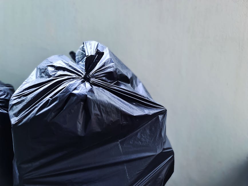 https://wastecollectionbromley.co.uk/blog/household-rubbish-collection-shortlands-br2-bromley-service-tips/
